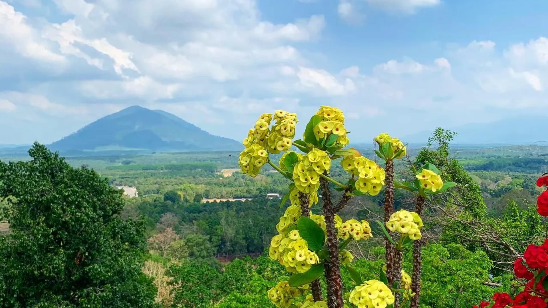 Изображение услуги4