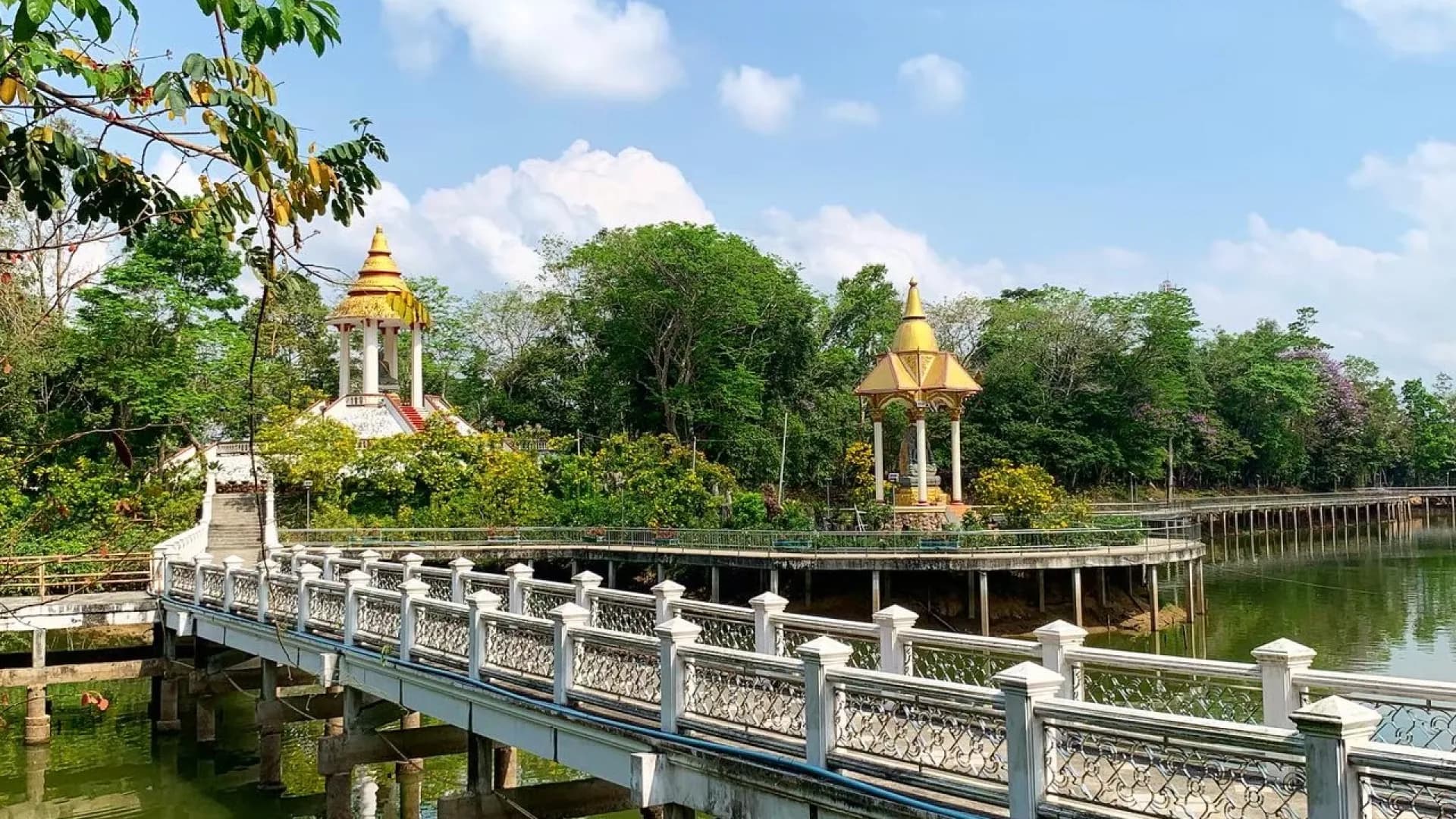 Изображение услуги5