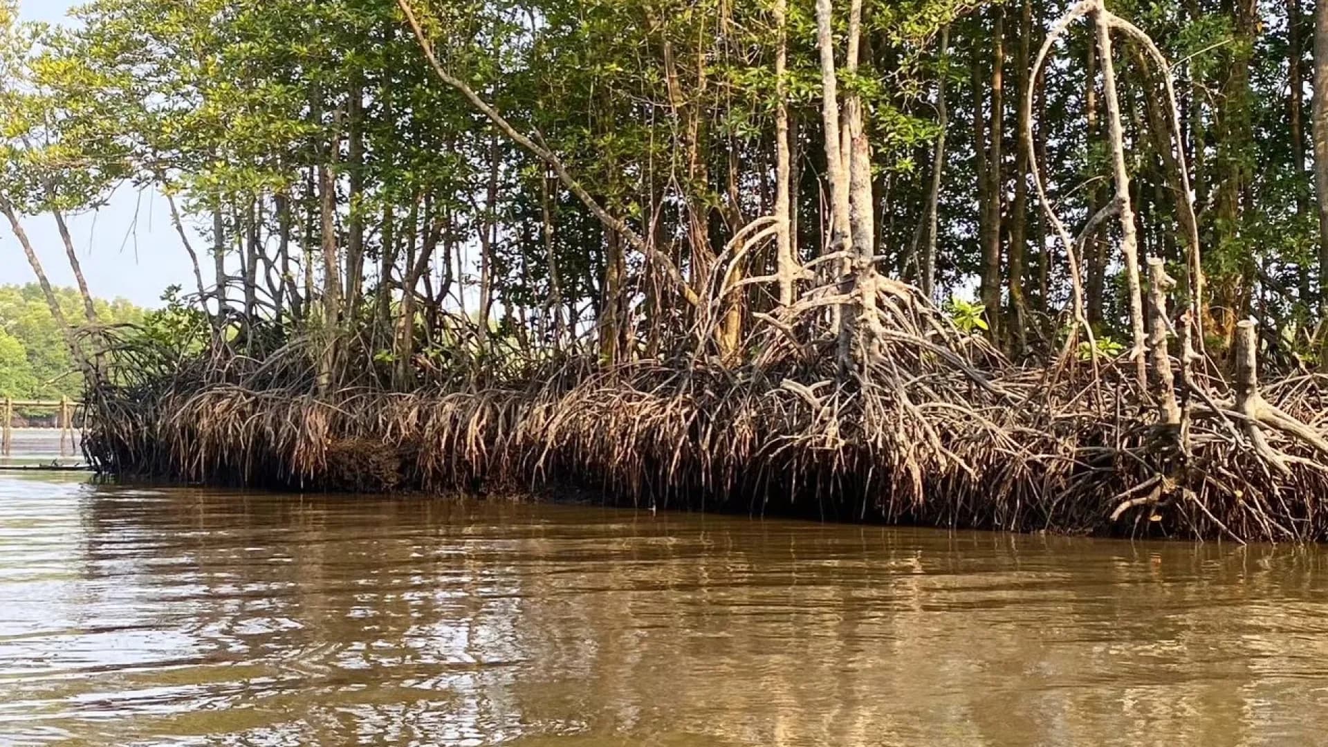 Изображение услуги13