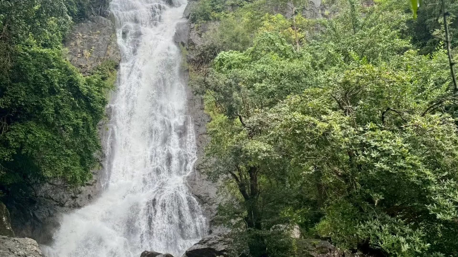 Изображение услуги1