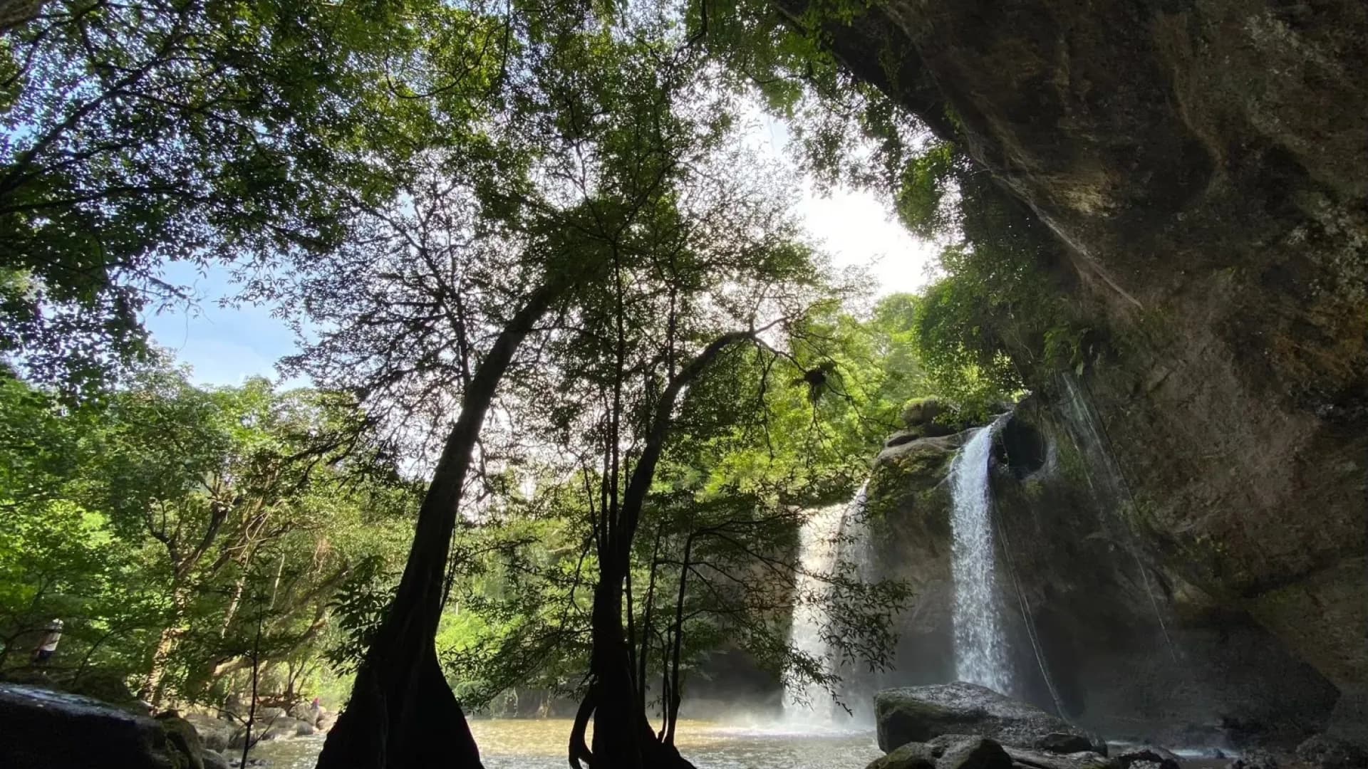 Изображение услуги2