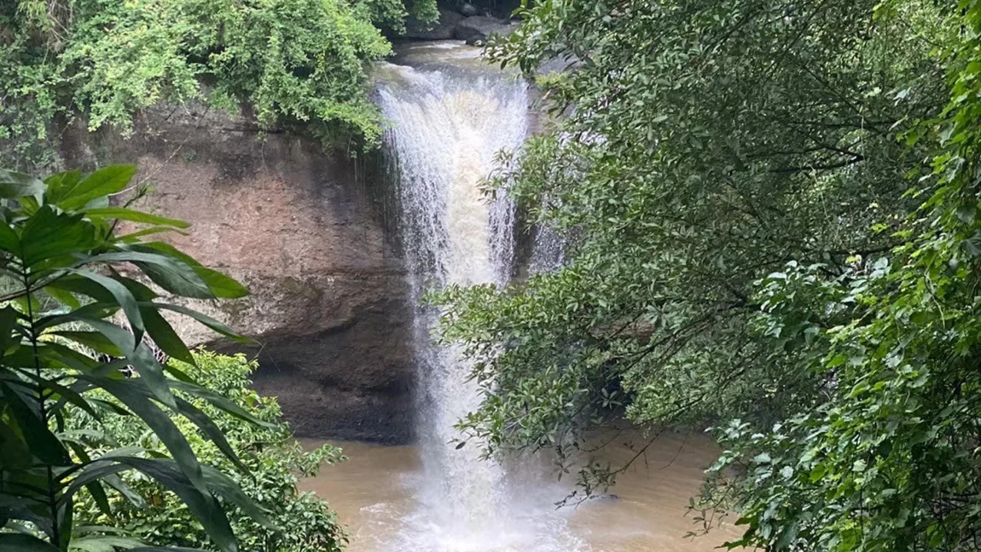 Изображение услуги4