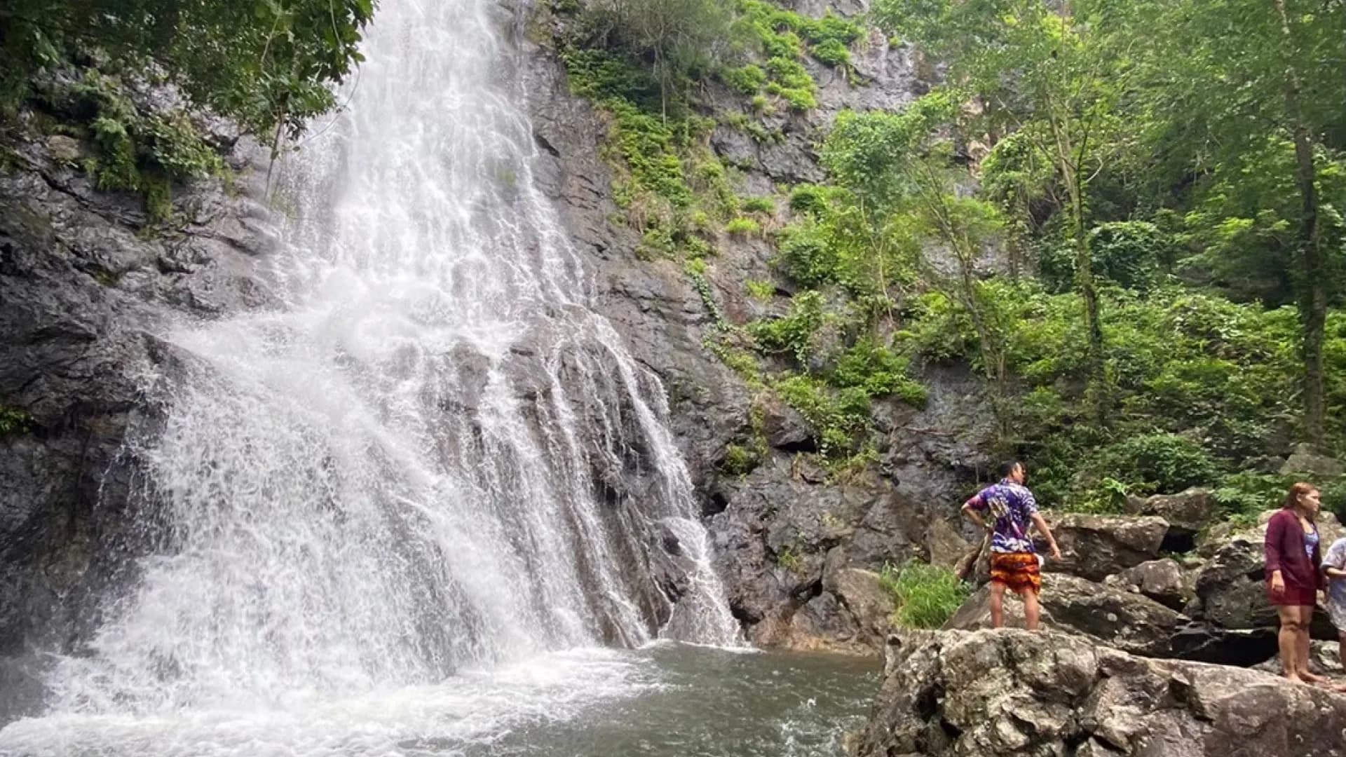 Изображение услуги7