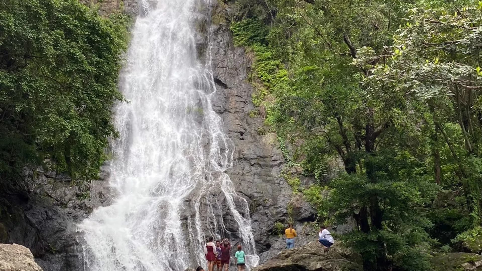 Изображение услуги10