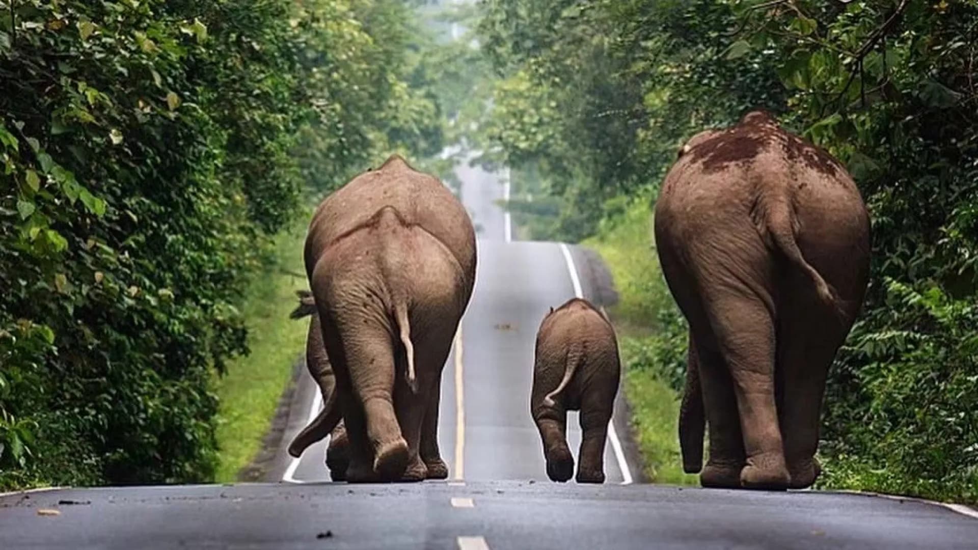 Изображение услуги12