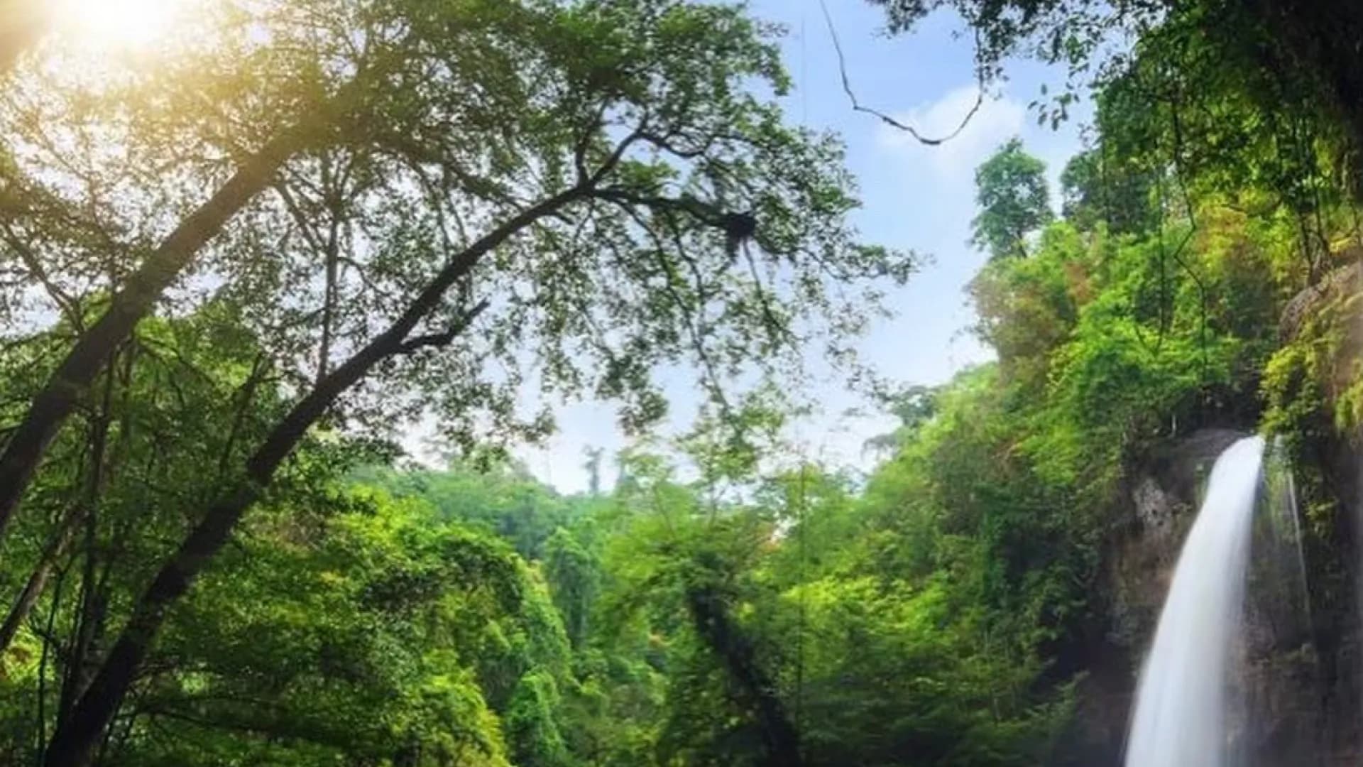 Изображение услуги13