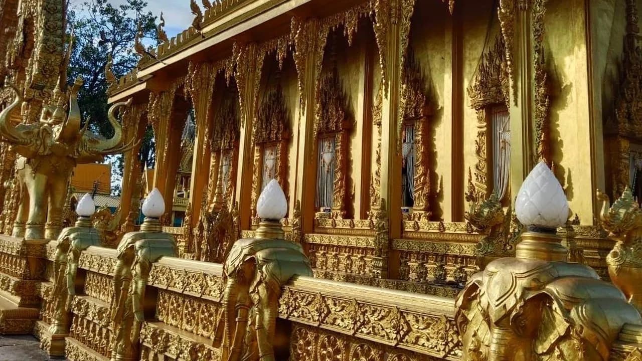 Изображение услуги5