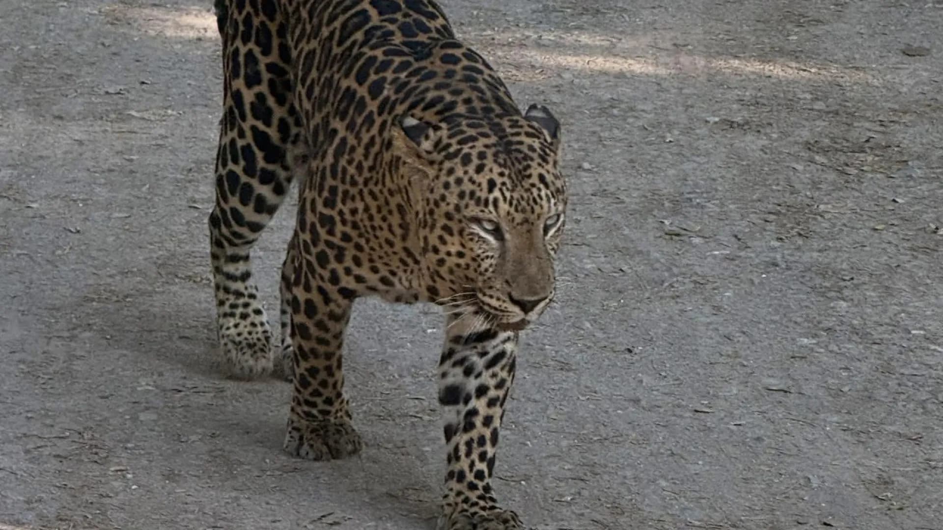 Изображение услуги1