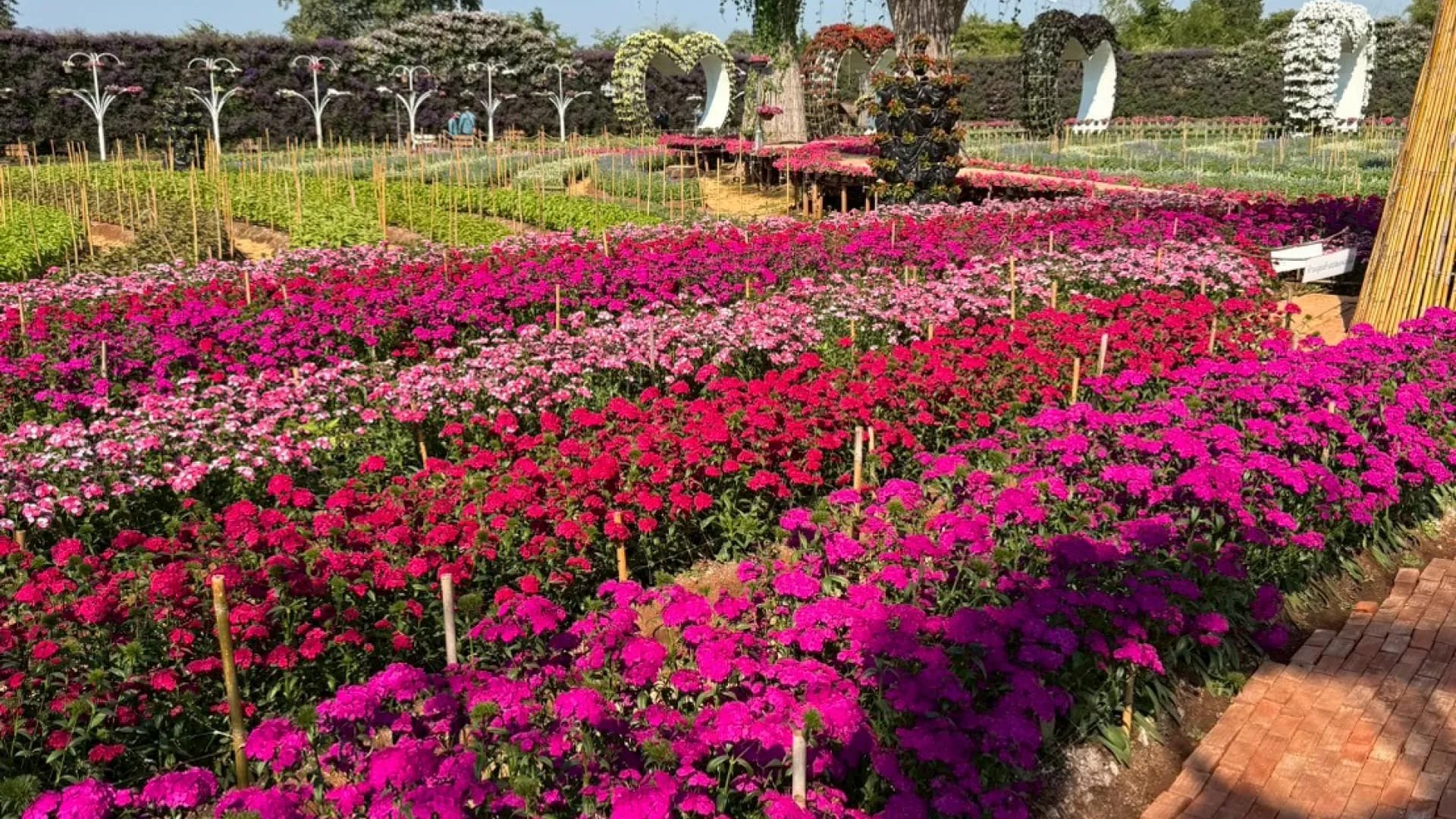 Изображение услуги4