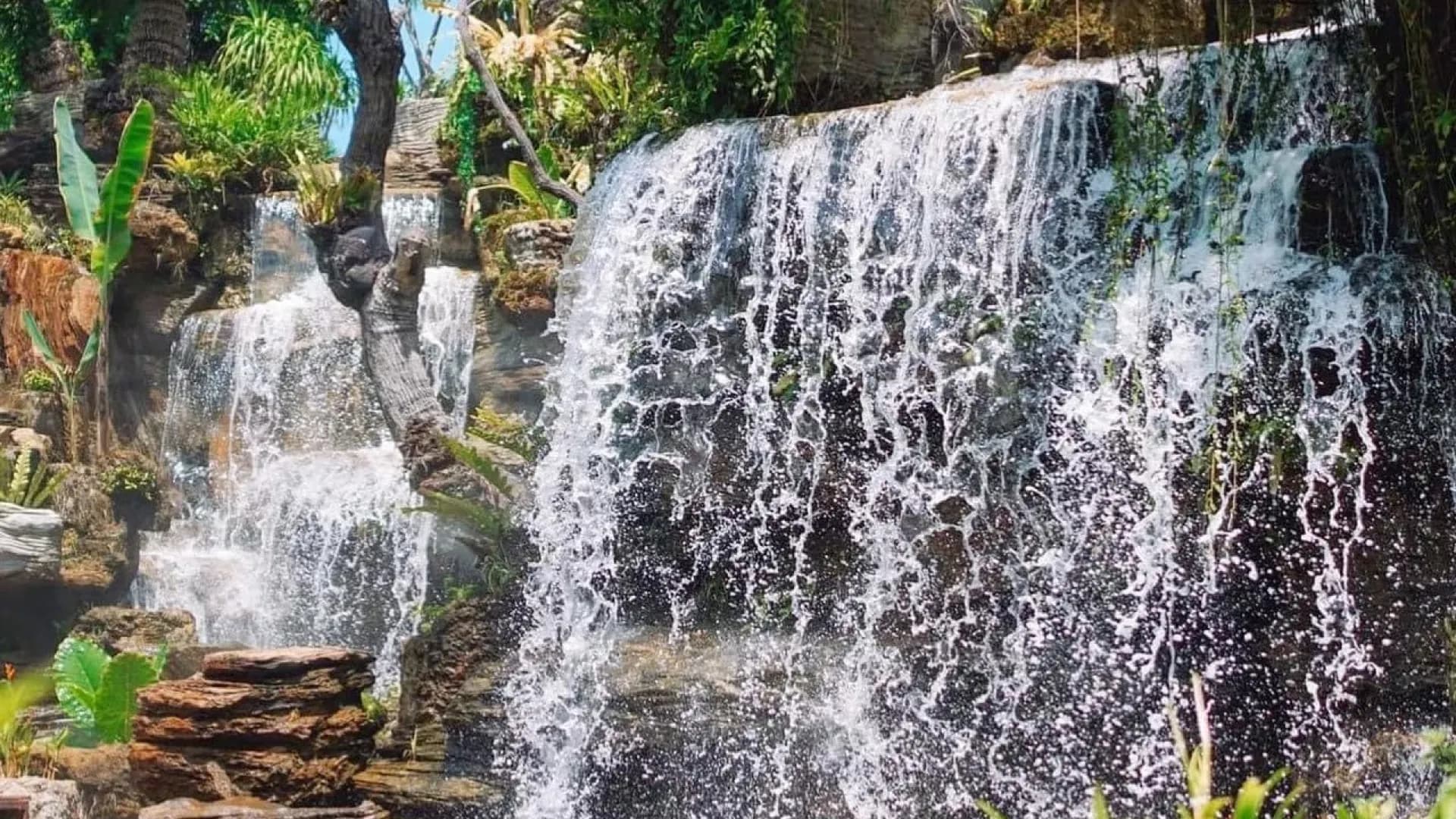 Изображение услуги1