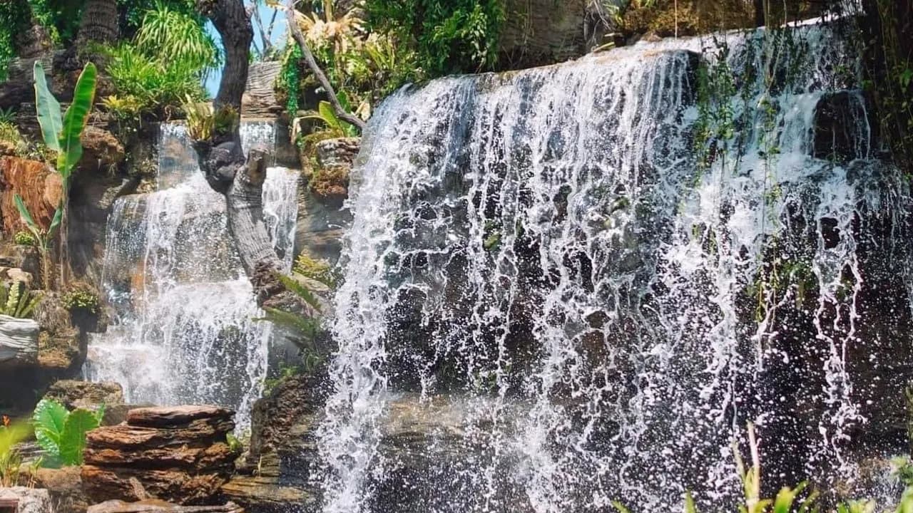 Изображение услуги1