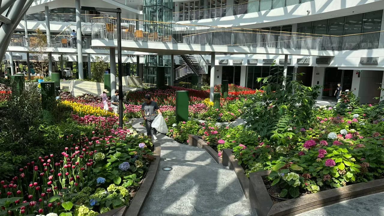 Изображение услуги5