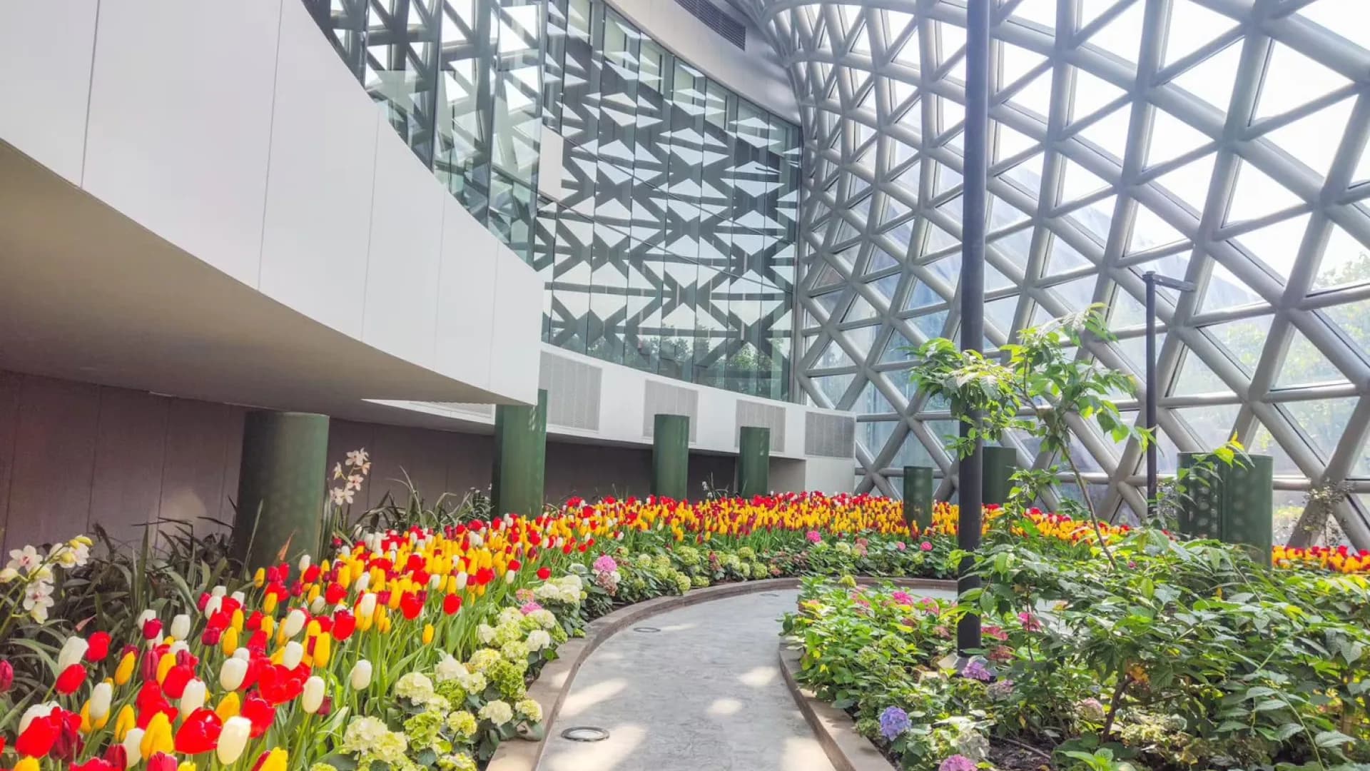 Изображение услуги9