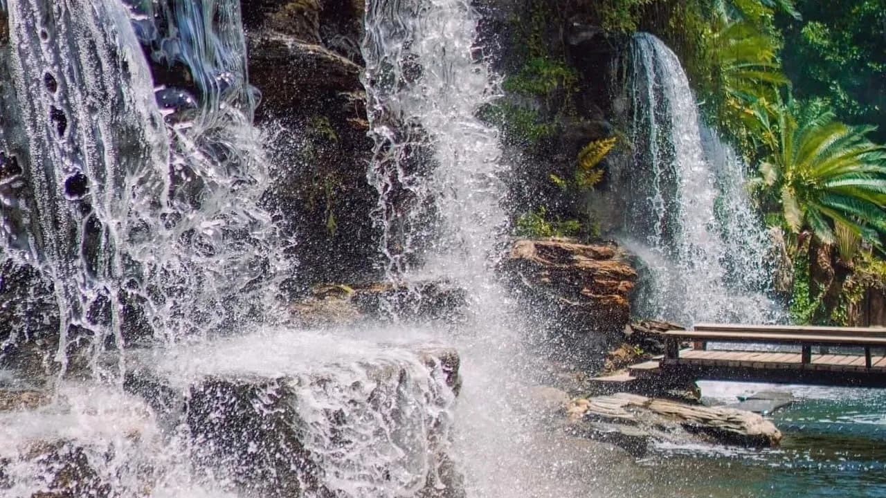 Изображение услуги10