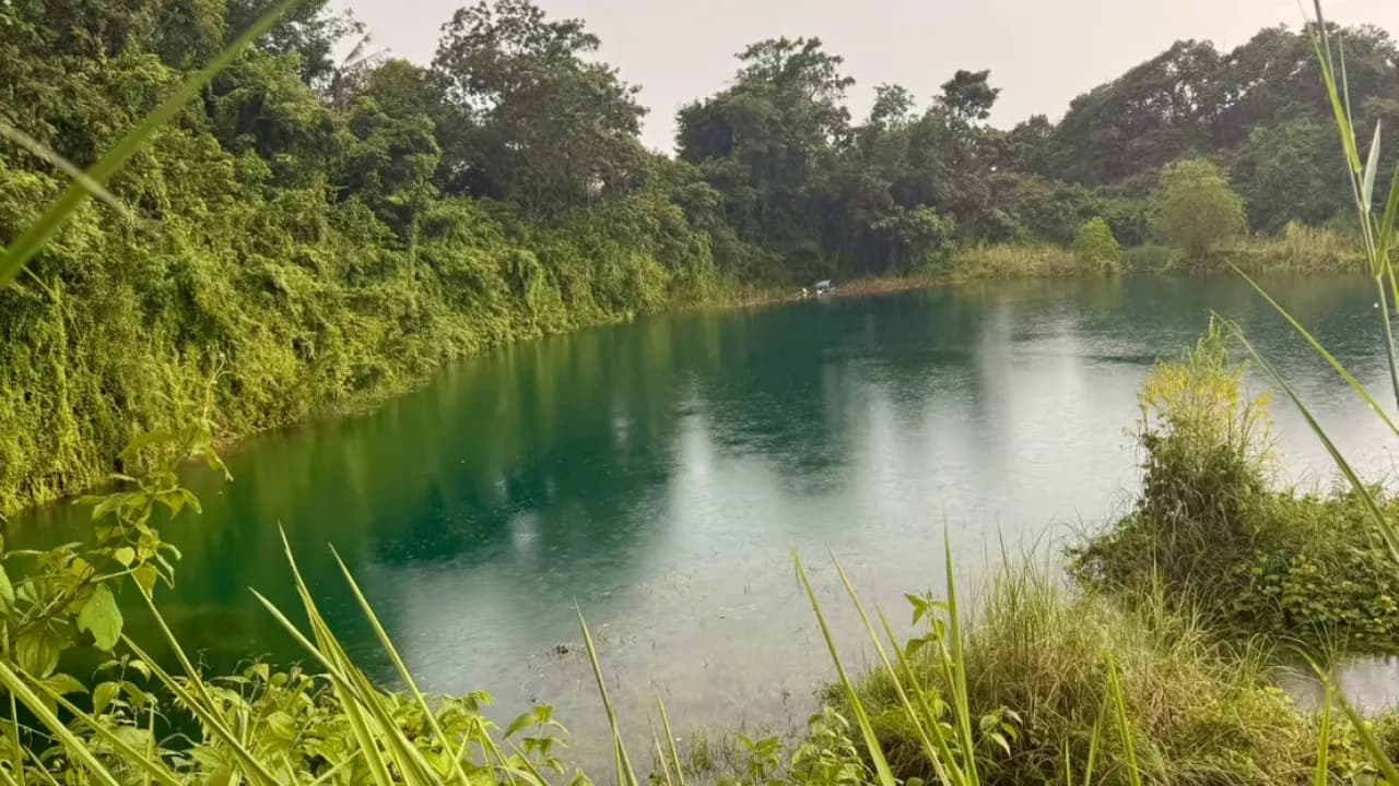 Изображение услуги4