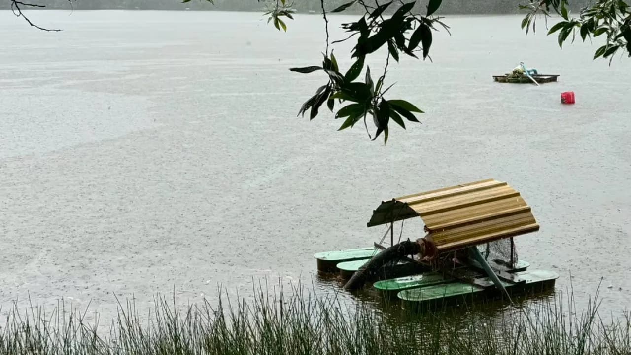 Изображение услуги8