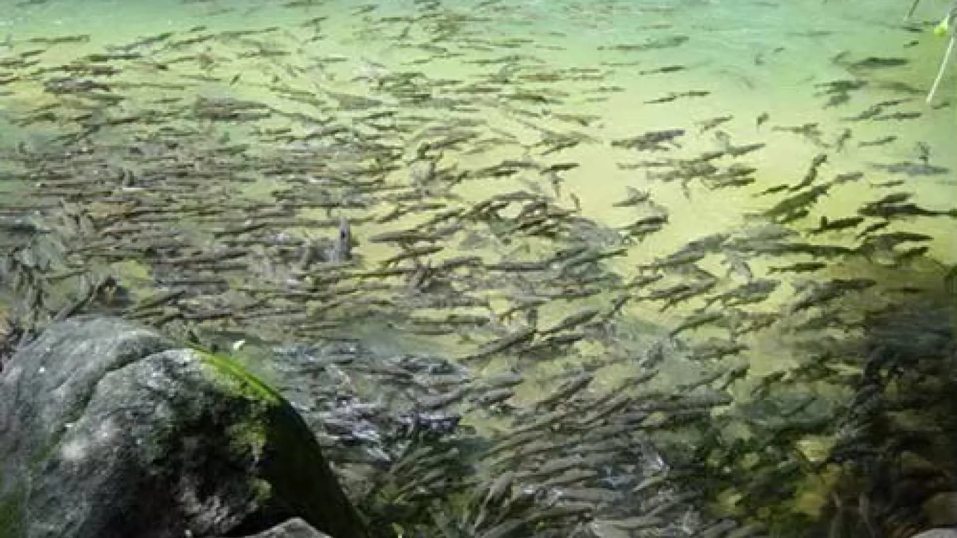 Изображение услуги10