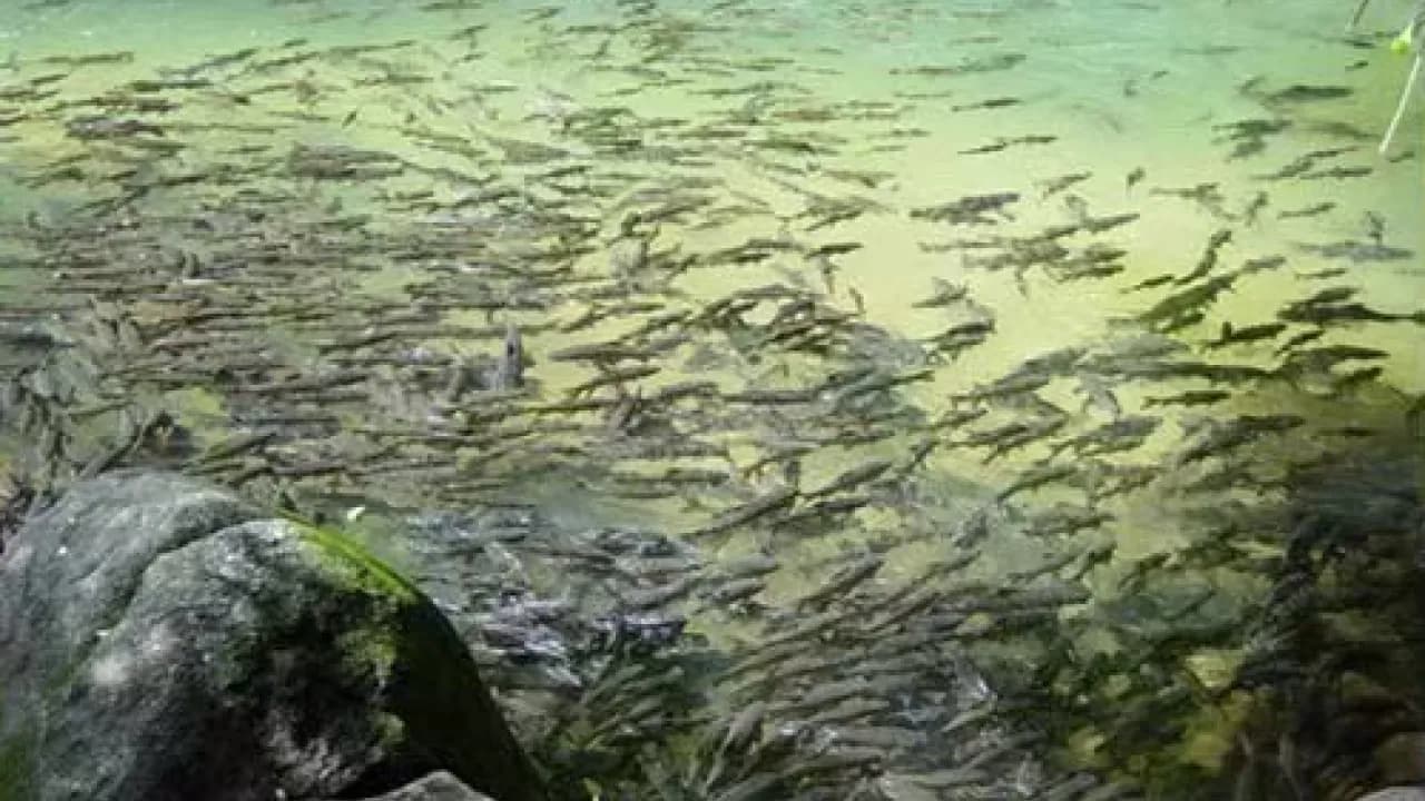 Изображение услуги10