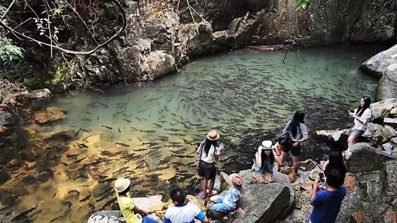 Изображение услуги12