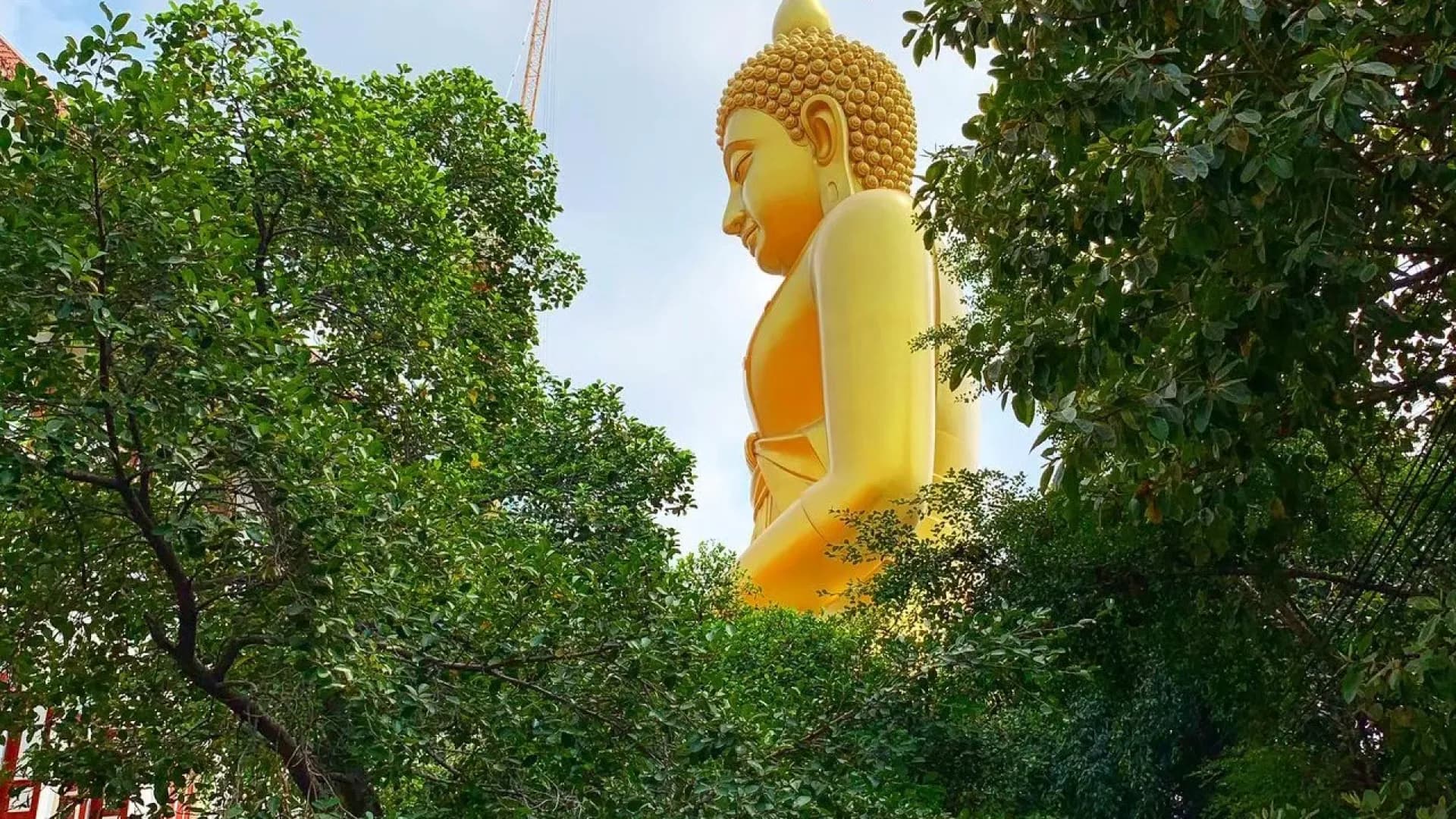 Изображение услуги2