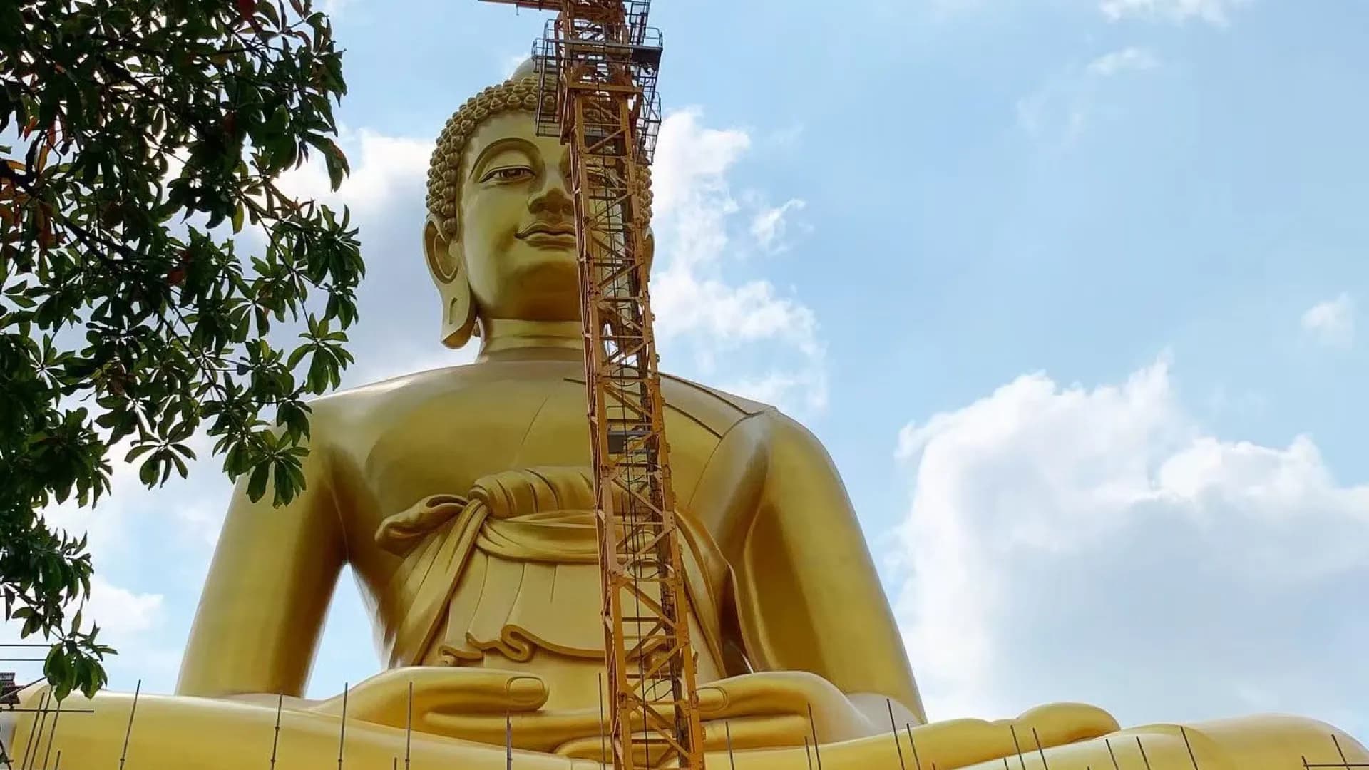 Изображение услуги6