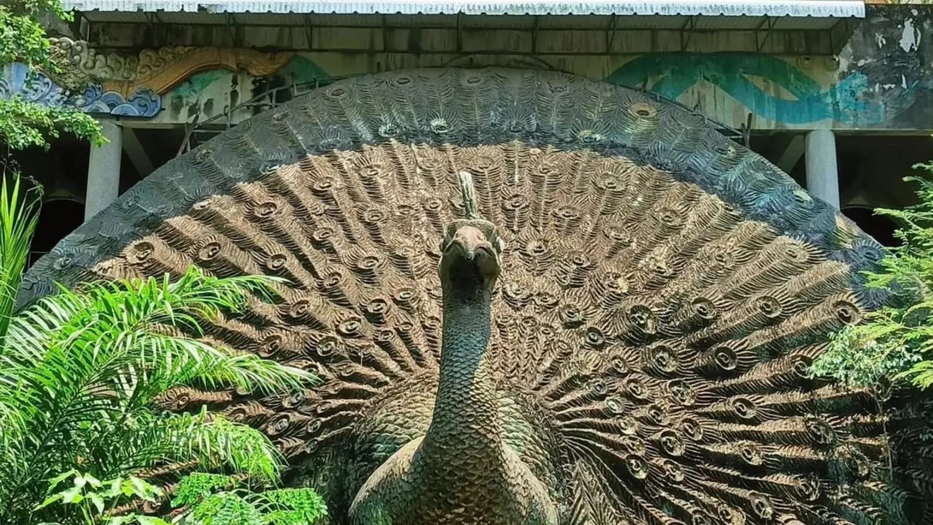 Изображение услуги12