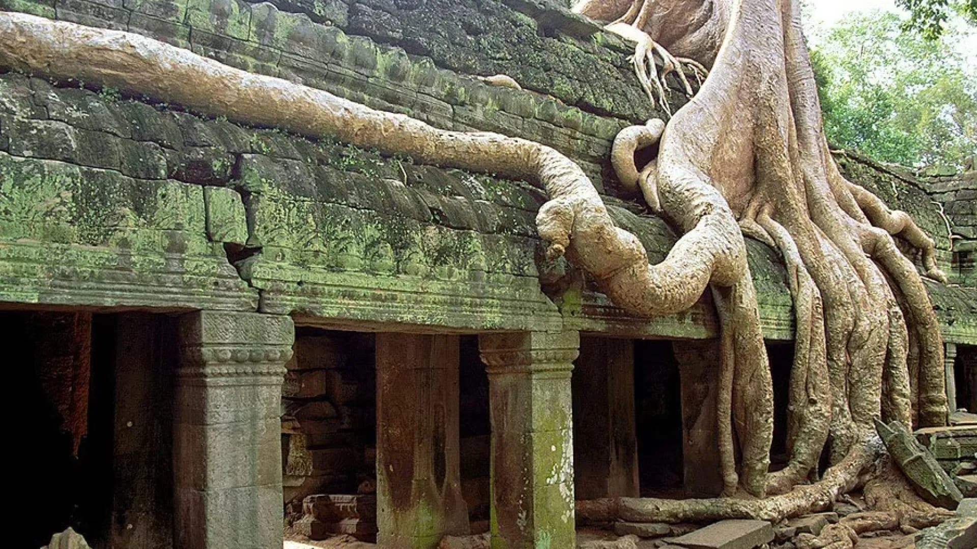 Изображение услуги11