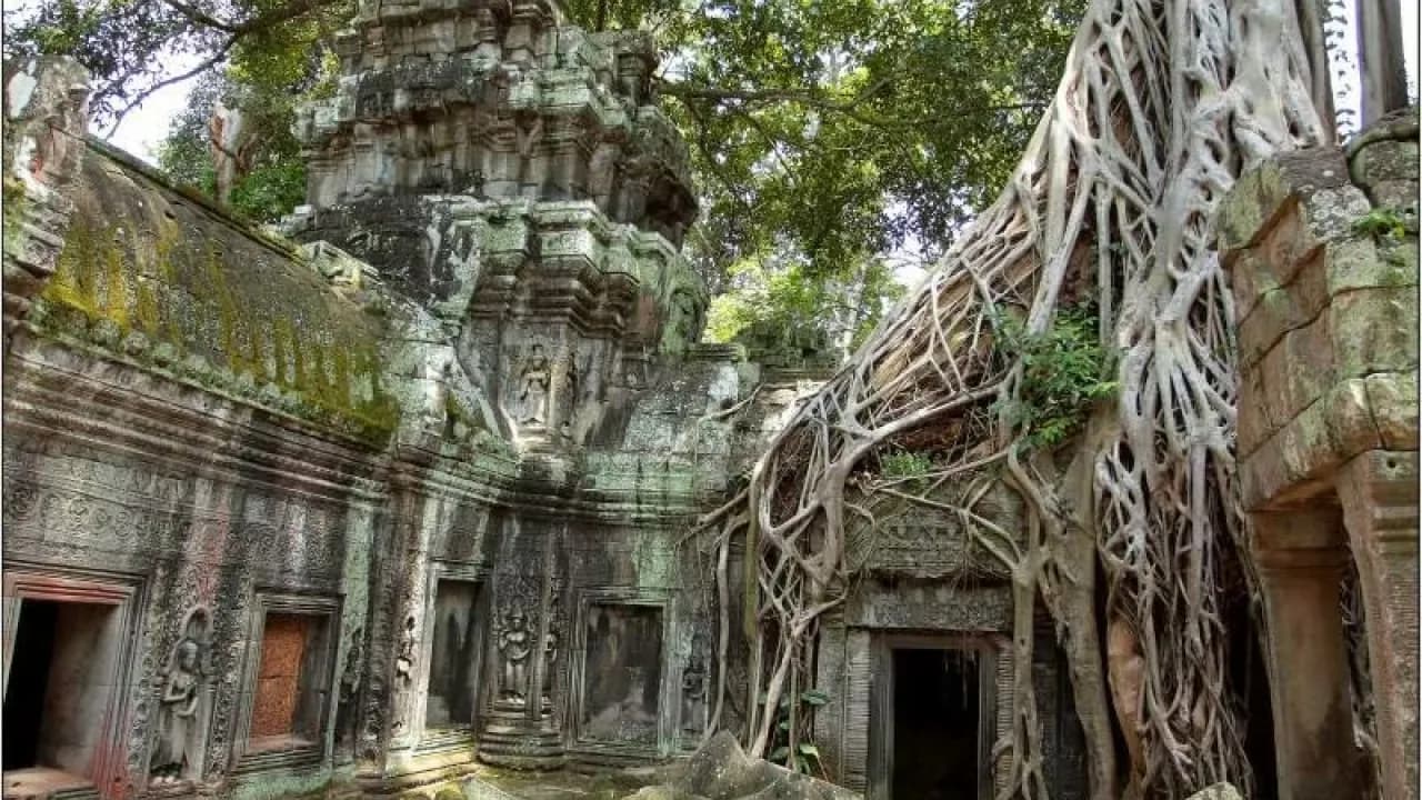 Изображение услуги12