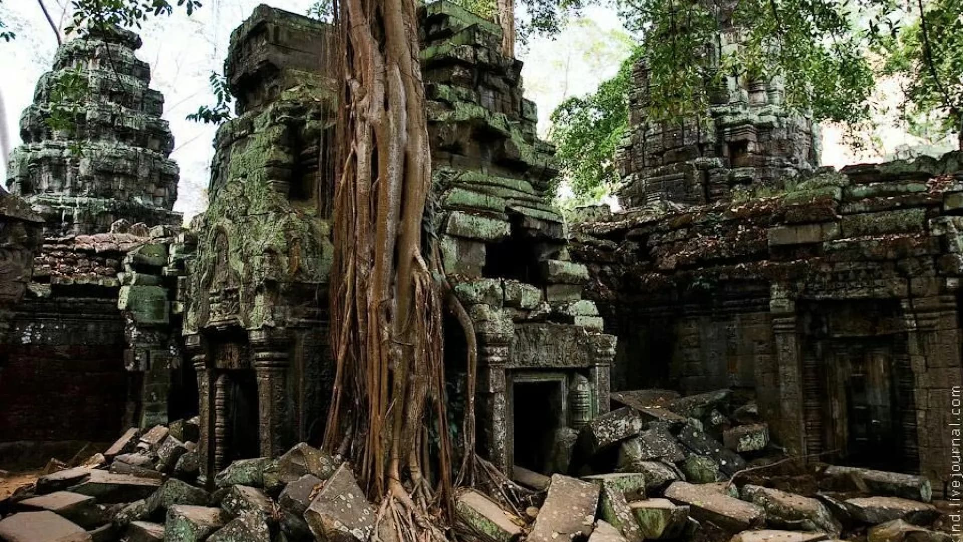 Изображение услуги13