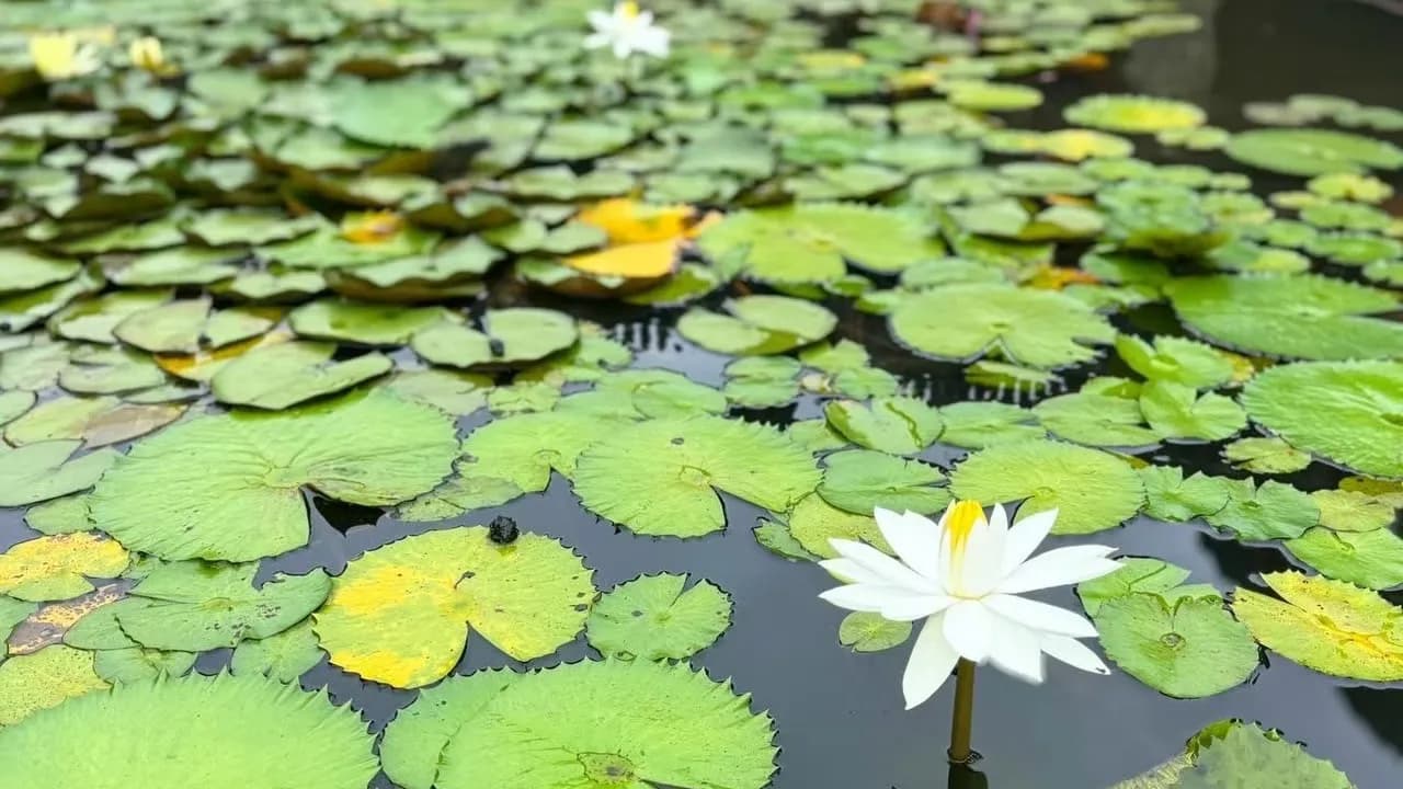 Изображение услуги5