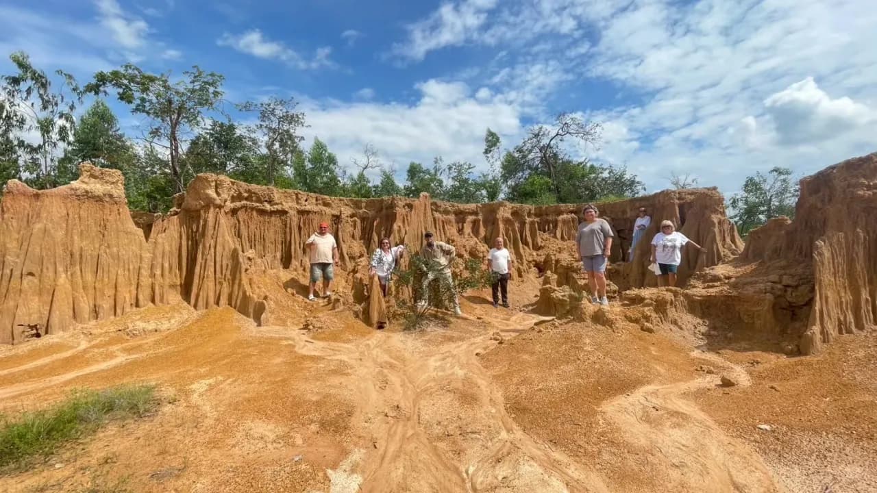 Изображение услуги8