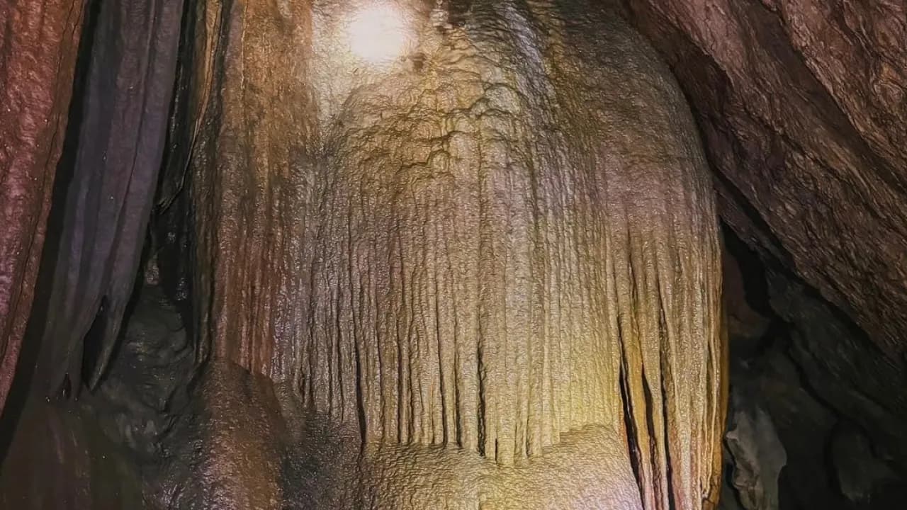 Изображение услуги11