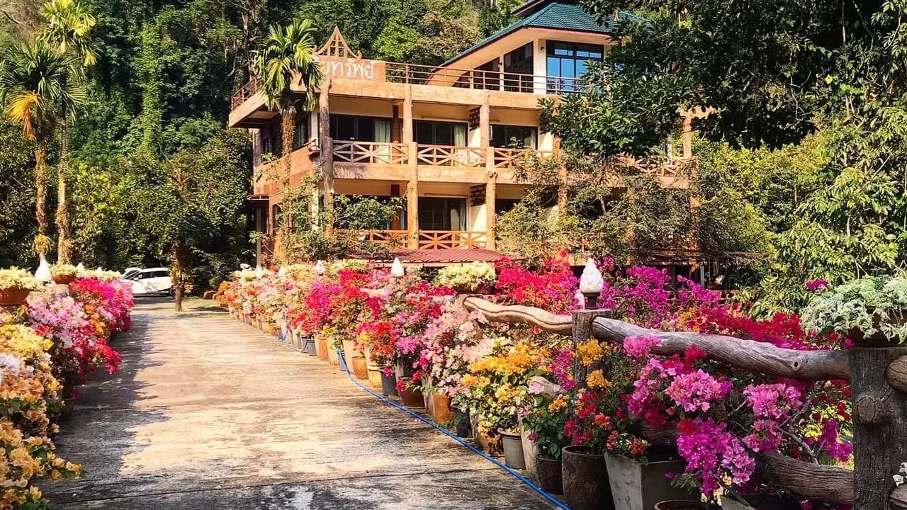 Изображение услуги1