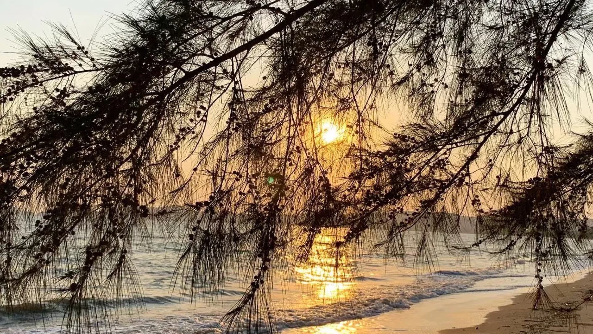 Изображение услуги2