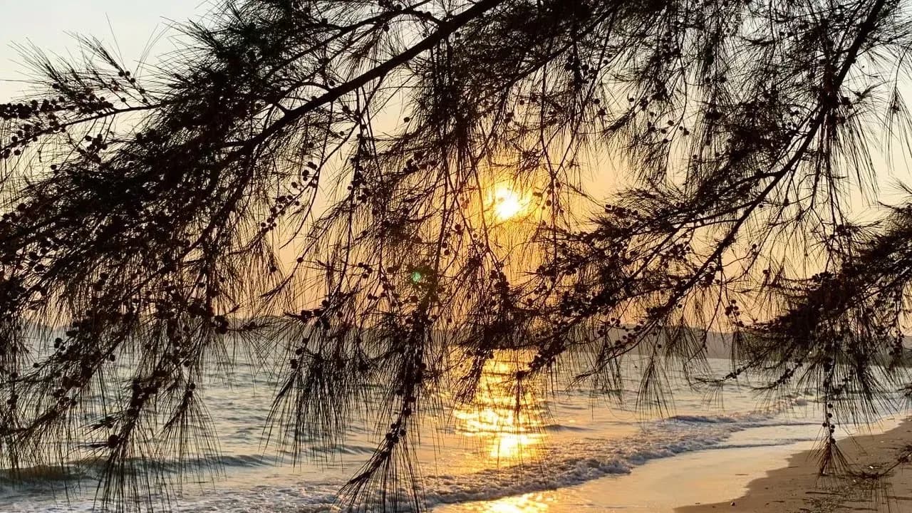 Изображение услуги2