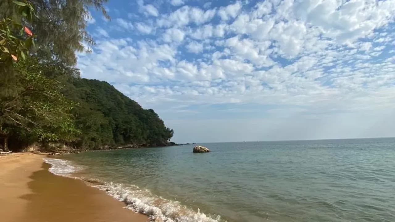 Изображение услуги4