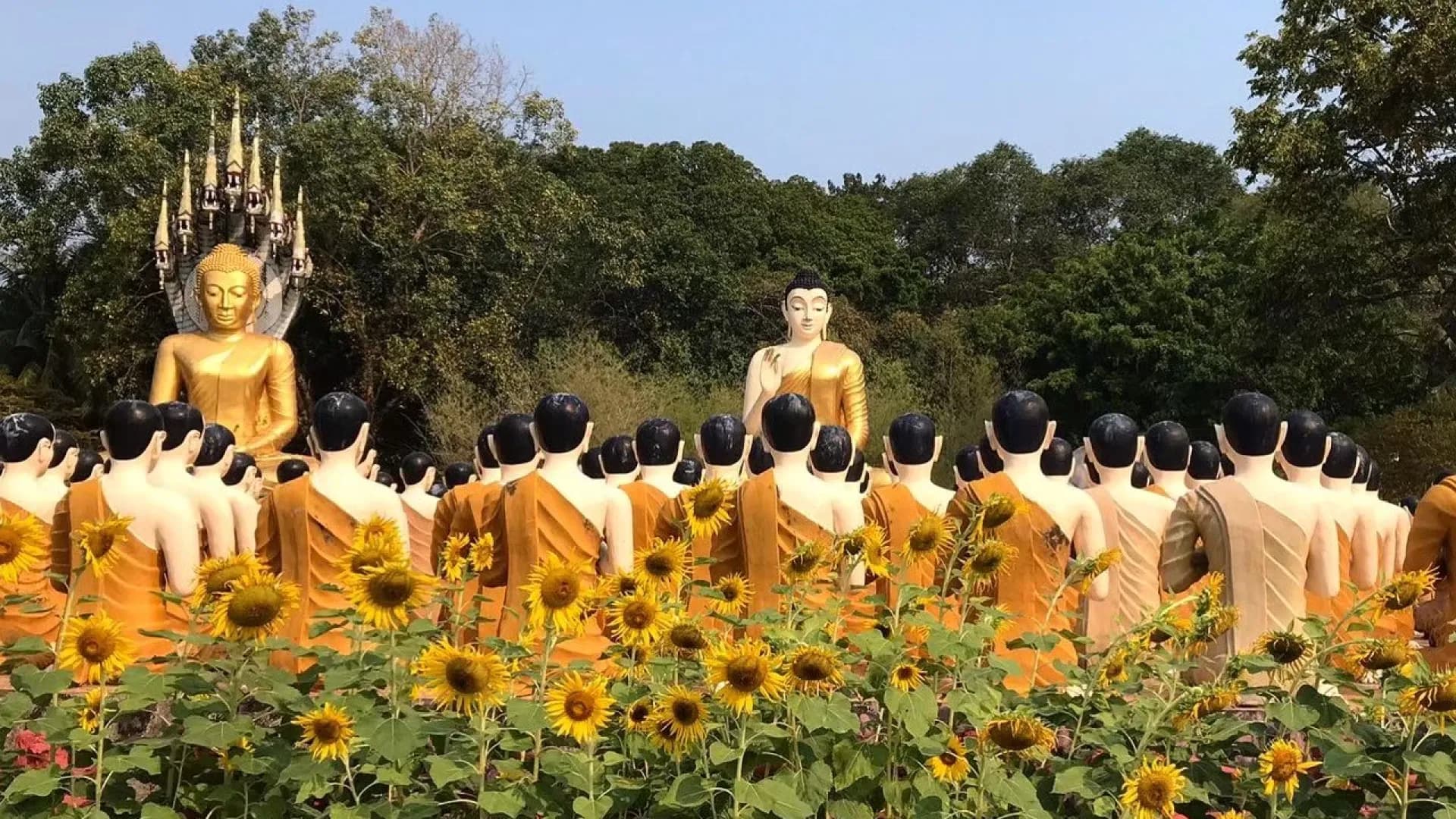 Изображение услуги6