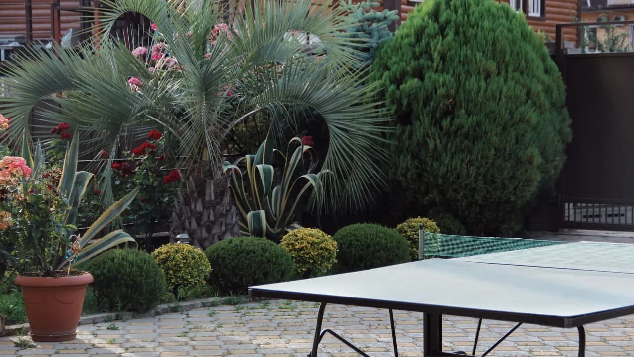 Изображение услуги3