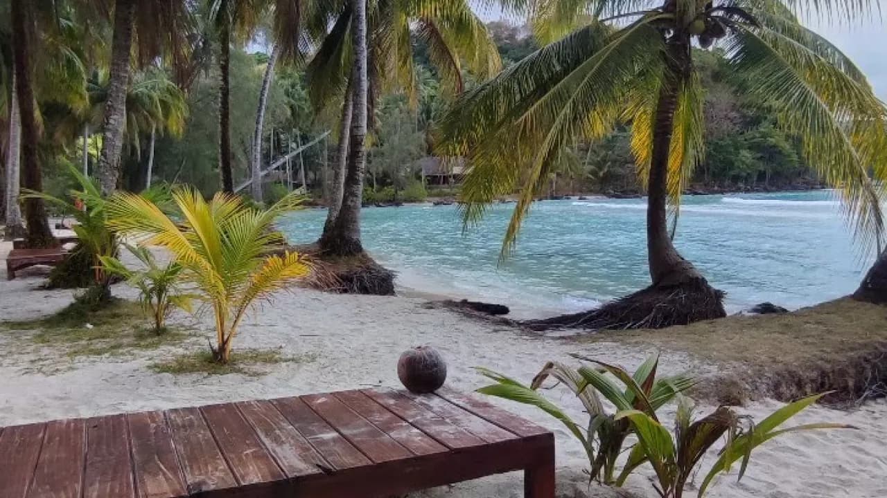 Изображение услуги1