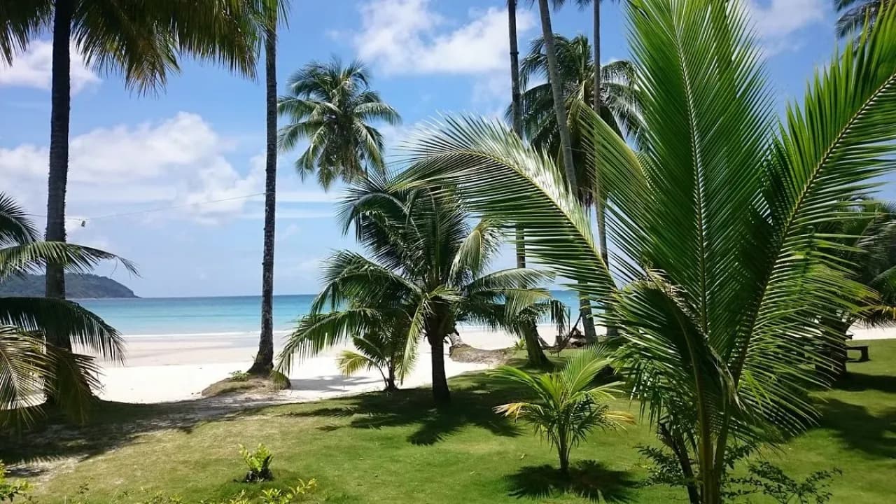 Изображение услуги9