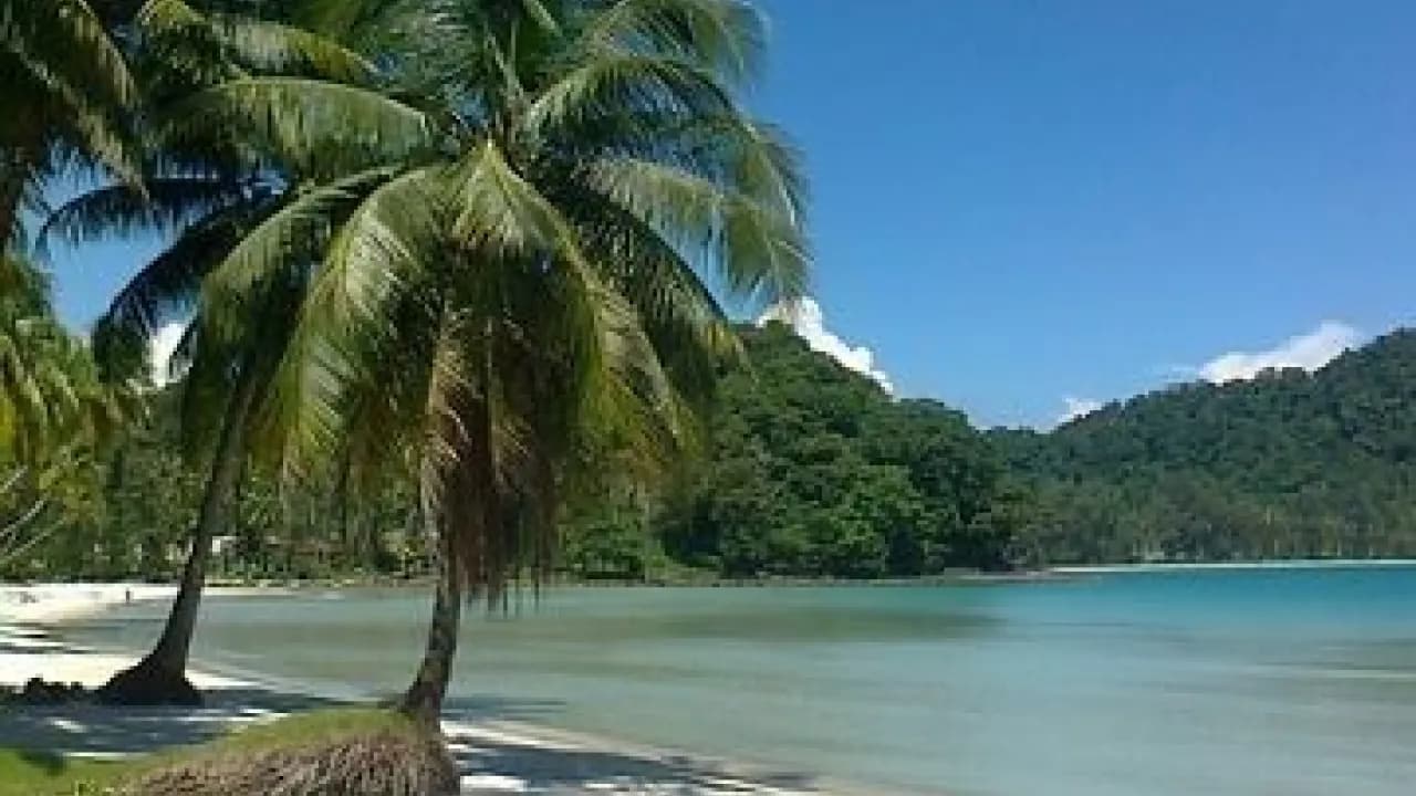 Изображение услуги14