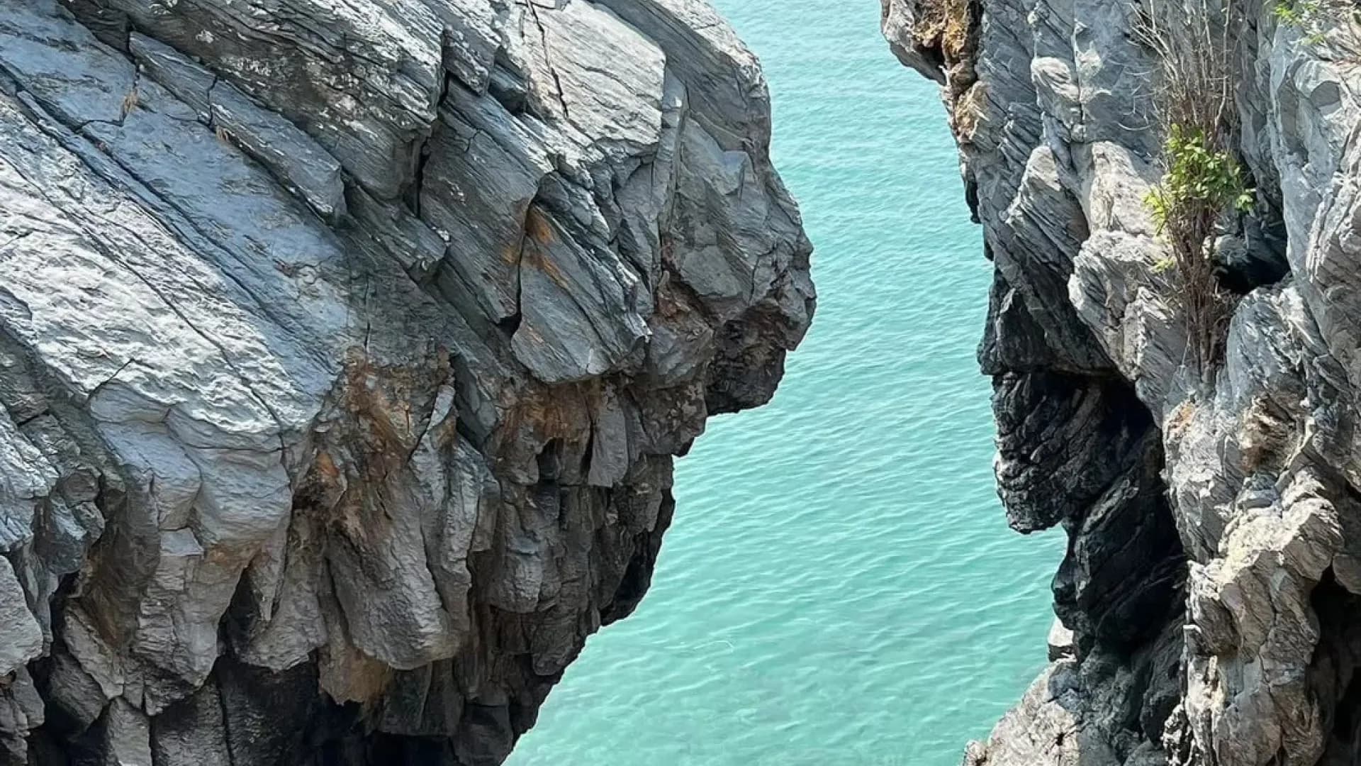 Изображение услуги1