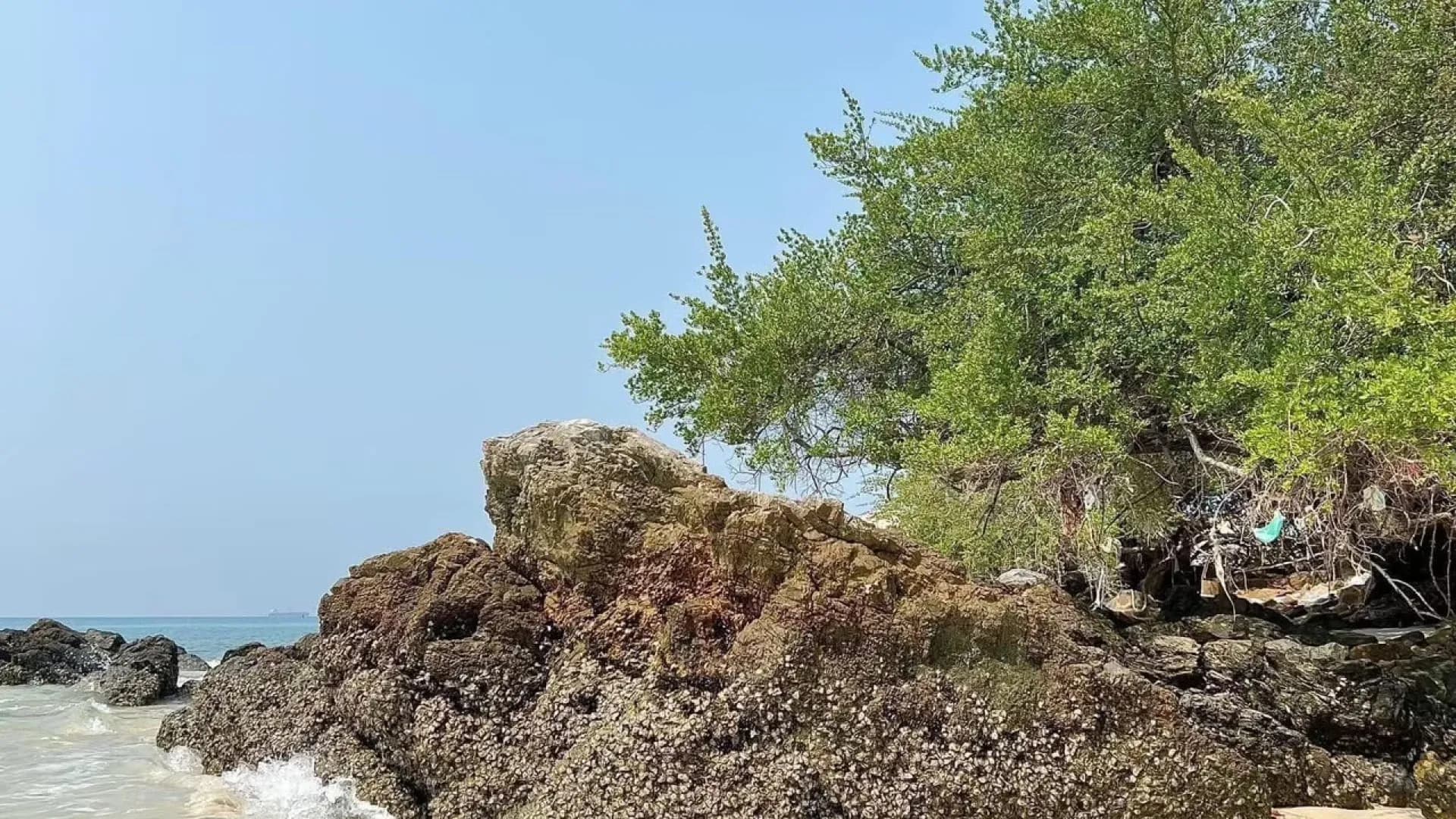 Изображение услуги2