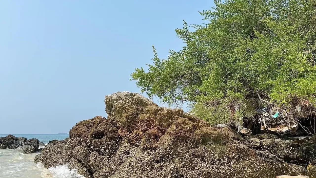 Изображение услуги2