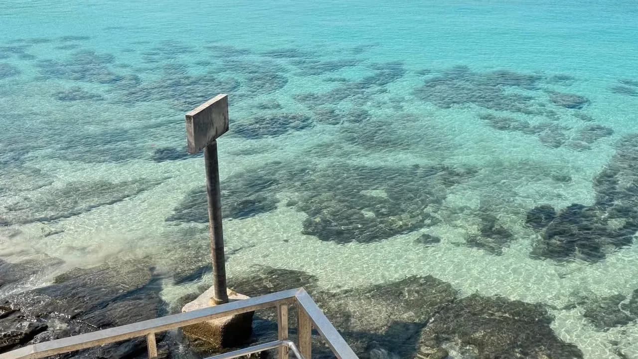 Изображение услуги11