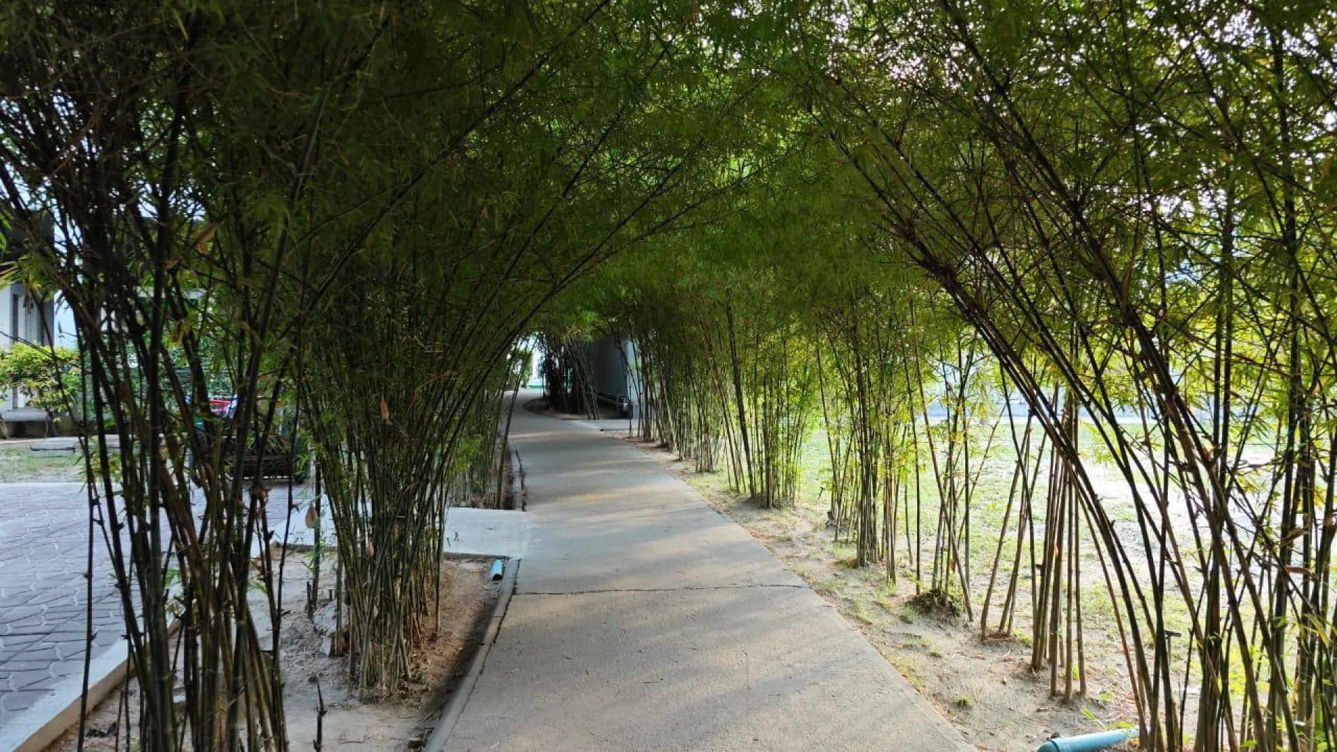 Изображение услуги1