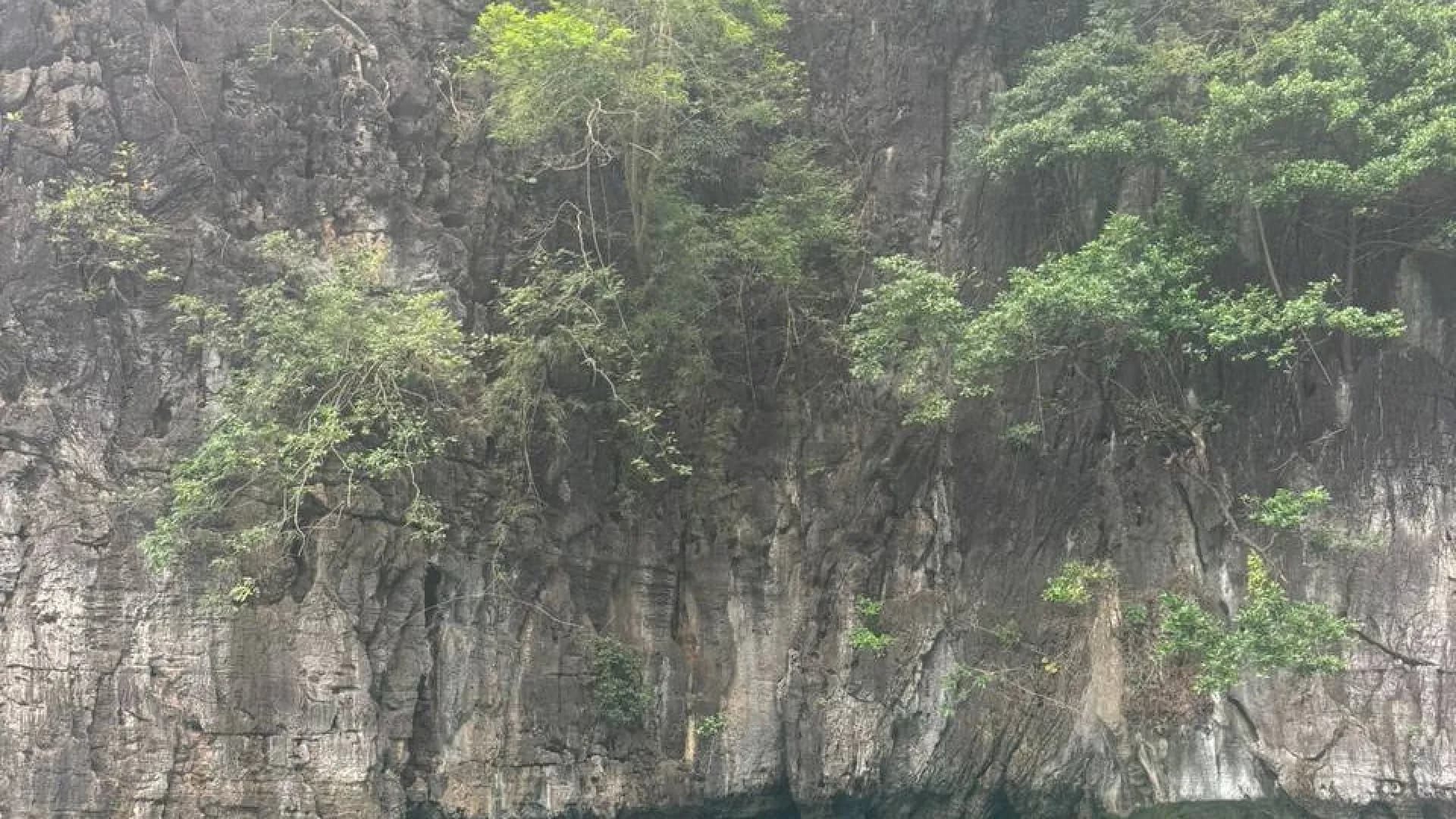 Изображение услуги10