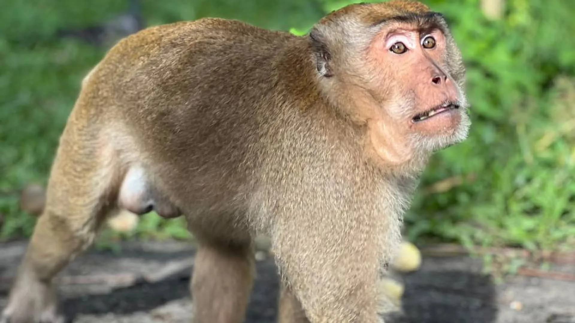 Изображение услуги1