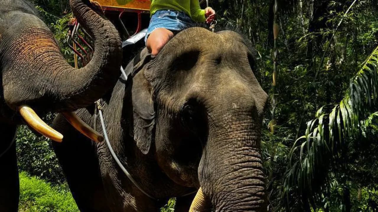 Изображение услуги2