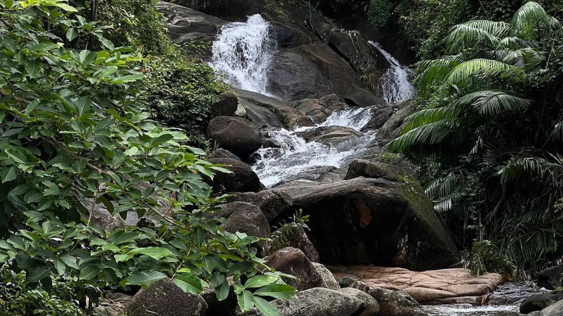 Изображение услуги1